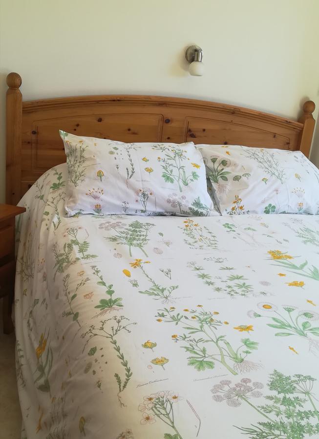 Hostal El Castillo 아레나스 데 산 페드로 외부 사진